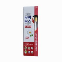부광약품 부광탁스 프리미엄 치약 150g 칫솔증정, 1개