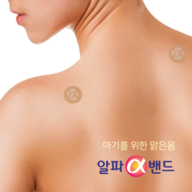 붙이면 편하다 알파밴드 3만원 이상, 21개입