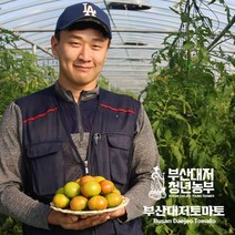 부산대저토마토 2kgX2박스(M S중 랜덤), 단일옵션