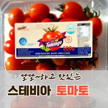 [당일 수확발송] 달달한 스테비아 방울 토마토 500g + 500g 스테비아 큰 완숙 토마토 1KG + 1KG 토망고, 방울 토마토 500g * 2 (2팩), 2개