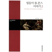 업둥이 톰 존스 이야기 2 (대산세계문학총서 115), 문학과지성사