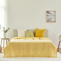 [모던하우스사라 순면 아사 워싱 소프트 차렵이불 Q CV0222048
