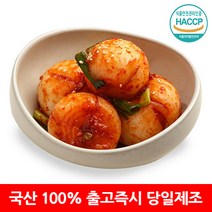 [옐푸드] 100% 국산 전라도 양파김치, 전라도 양파김치 1kg