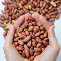 국산 땅콩 고소한 볶음 알땅콩 300g, 1개