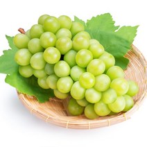 [지구다움]추석선물일순위 슈퍼S급 샤인머스캣프리미엄 추석명절과일선물세트, 슈퍼S급 샤인머스켓 2kg(3~4송이), 없음