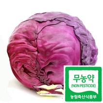 국산 친환경인증 무농약 적양배추 1kg 생식용 급식납품, 1개