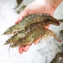 국내산 대왕 흰다리새우 500g 생물 대하 냉동새우 손질, [급랭]국산 손질새우 500g, 1개