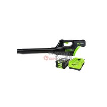 그린웍스 G-MAX Pro80V 2.5Ah/5Ah (2팩) 브로워/송풍기, 80V 2.5Ah 2팩