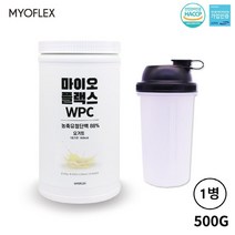 프로틴 bcaa 글루타민 아미노산 아르기닌 단백질 보충제 쉐이크 유청 WPC 비타민 류신 BCAA, 1병, 500g