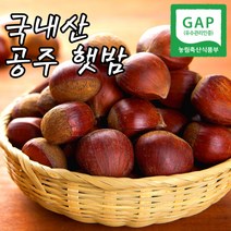 23년 햇 밤 공주 정안밤, 햇 밤 2KG