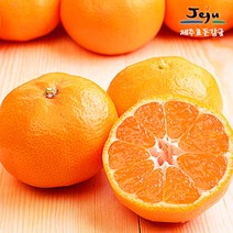 [보섭이네푸드]가락시장 직송 제주효돈감귤 5kg(80∼94입내 2S)