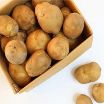 못난이감자 5kg 중(50~70g)