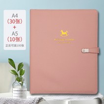 임신검사 데이터 앨범 임산부 임신기간 b초과 보고 화학 파일, T08-핑크스몰 목마 30A410A5(앞뒤양면