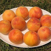 햇사레 장호원 황도복숭아 3kg (6-10과), 단품없음