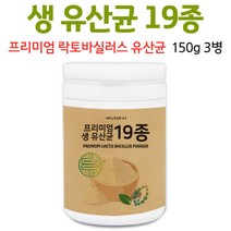 생유산균 프리미엄 유산균 파우더 분말 대용량 락토바실러스 가세리 가루 정품 프로바이오틱스 요구르트 향 김치유산균 모유유산균, 3병, 150g