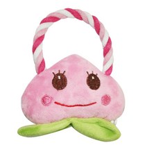 ALICEPET 붕가붕가인형 강아지치실 보더콜리장난감