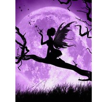 DIY 피포페인팅 달빛 요정 나비요정 인물화 색칠하기 여신 미녀 성인 쉬는 시간 즐기는 스트레스 해소 유화그리기 집콕취미 선물용 액자프레임포함 40*50CM, 달의요정그리기K번