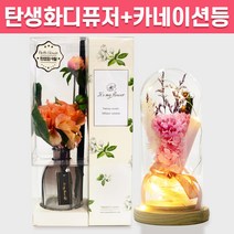 탄생화 디퓨저 선물 세트 9월 탄생화 다알리아 피치 + 카네이션 무드등 부모님 선생님 스승의날 엄마 장모님 생신 생일 집들이 선물 실내 디퓨저 실내 방향제 디퓨져, 아카시아, 핑크, 120ML
