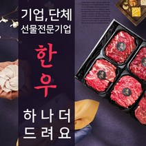 기업 단체 명품한우 선물세트, 고급형, 한우불고기+한우양지+한우차돌박이