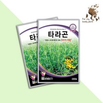 타라곤 2000립 세계종묘 화훼류 허브 씨앗