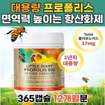 뉴질랜드산 프로폴리스 아연 대용량 12개월분 면역력높이는영양제 플로폴리스 식약처인증 기능식품 요양원 요양병원 할머니 할아버지 선물 항산화제 환절기 건강관리