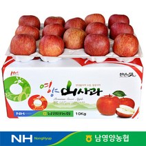 경북 영양농협 사과 꿀부사 상품 10kg 46-50과, 단품
