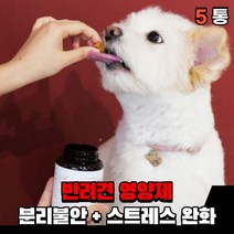 강아지 스트레스 영양제 분리불안 안정영양제 완화제 불안증세 분리 불안 해소제 추천 애견 반려견 소형견 대형견 영양제, 스트레스 + 분리불안(5통)