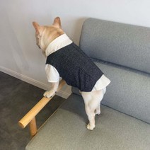 골든독 강아지 정장 턱시도 세트구성 L-4XL 소형견 중형견 중대형견 프렌치불독 잉글리쉬불독 착용가능 옷, 조끼