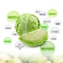 유기농 양배추즙 100% 저온추출 클로로피 설포라판 칼륨, 60포