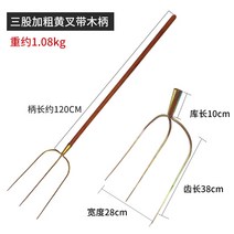쟁쇠 로터리삽 텃밭관리기 밭갈이 기계 철 포크 농업 도구 3 이빨 4 이빨 손잡이 잔디 포크 회전 흙 포크 강철 포크 쓰레기 r 포크 잎 포크 황무지 개발 패키지 17, 나무 손잡이가 있는 3개의 톱니가 있는 대황 포크