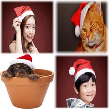 크리스마스 산타 모자 파티 성인용 아동용 묶음 판매 5개 10개 20개 30개 대량 구매