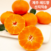 제주특산품 레드향 고급 과일 2kg 3kg 5kg 귤로향 귤 감귤 제주 산지직송, 02. 소과 3kg