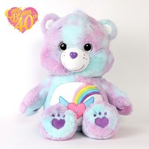 케어베어 인형 드림 브라이트 베어 45cm 곰 애착 동물