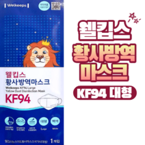 웰킵스 황사방역마스크 KF94 대형, 30장 (1박스)
