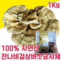 100% 국내 자연산 잔나비 걸상버섯 균사체 불로초 덕다리 500g 인생의 연장전 혈당 조절, 1kg