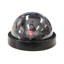 살림모아 모형 CCTV 둠형 카메라, [LX102]IN11B 1개