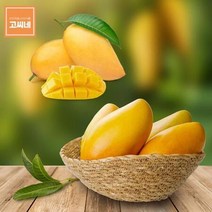 고씨네 냉동망고1kg 망고종류 열대망고 수입망고망고 제주애플망고 망고세일 페루애플망고 태국망고 제주망고 애플망고가격 제주도애플망고 필리핀망고 애플망고