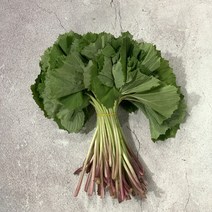 원동FS 국내산 봄나물 머위쌈 쌈머위 200g, 1개