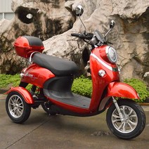 삼륜오토바이 3륜바이크 전기 전동 60V 72V 스쿠터, 로즈레드1000W모터배터리72V이상