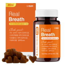 강아지 호흡기 기관지 건강 영양제 반려견 호흡곤란 기침 켁켁거림 기관지질환 면역력 향상 펫생각 리얼브레스 미니 휴먼그레이드 간식, 2개