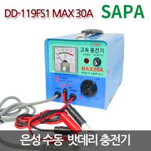 브랜드없음 은성 수동 배터리 충전기 DD-119FS1 30A 12V전용 급속