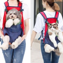 elco 켈리몰 중현견포대기 강아지 슬링백 이동가방 pro, 그레이