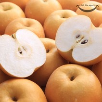 [힛더스팟 내입에] [내입에] 못난이 흠집배 천안신고 알뜰배 5kg, 1개