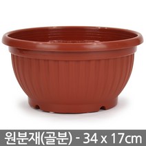 원분재 화분 중형 - 골분 분재 식물 플분 원형화분 분배분 재배분 분갈이 인테리어 베란다 화분, 03_세인_원분재(브라운)-대형