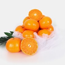 천혜향선물세트 천혜향세트 3kg(11-13과), 상세 참조