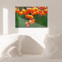 꾸밈 tc203-아크릴액자돈들어오는감그림(대형) 아크릴액자