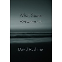 (영문도서) What Space Between Us Paperback, Shearsman Books, English, 9781848618299