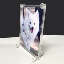 강아지 추모함 꾸미기 강아지유골함 미니어처 음식모형 반려동물 장식 소품 시저캔 유모차 캔넬 하우스 과일 고구마 모형 미니어쳐, 17. 아크릴 액자 + 사진  (메일-사진)