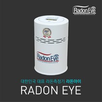 라돈아이 RD200 아파트 사전점검 관공서 학교 라돈 측정 라돈 알람, 1개