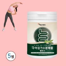 구아검 가수분해물 가수분해물가루 구아검가수분해물 식약청인증 썬화이버 효능 가루 분말 스틱 구아콩 배유 프리바이오틱스 수용성 효소 분말 식물성 구아콩배유, 5병